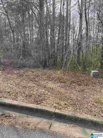 0.49 Acres of Residential Land for Sale in Anniston, Alabama