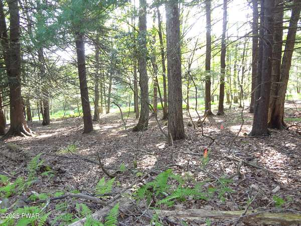 0.47 Acres of Residential Land for Sale in Greentown, Pennsylvania