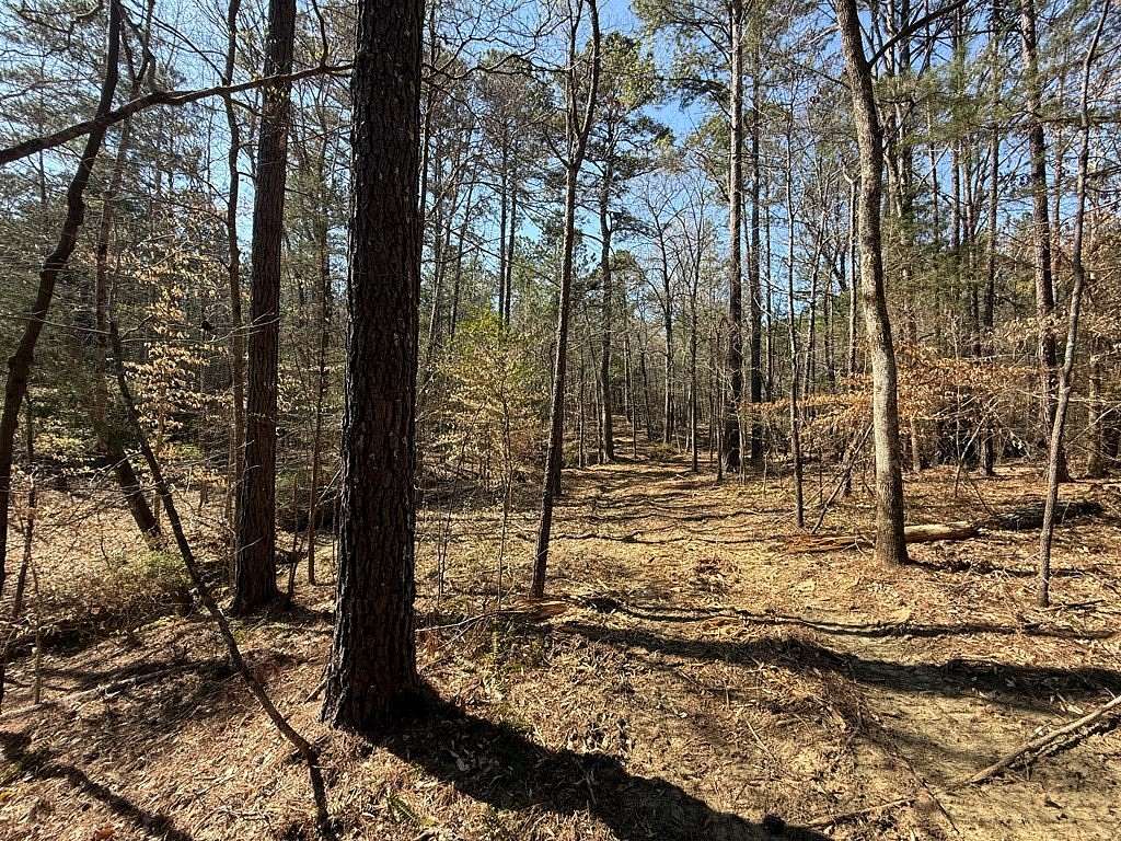20 Acres of Recreational Land for Sale in Bradley, South Carolina