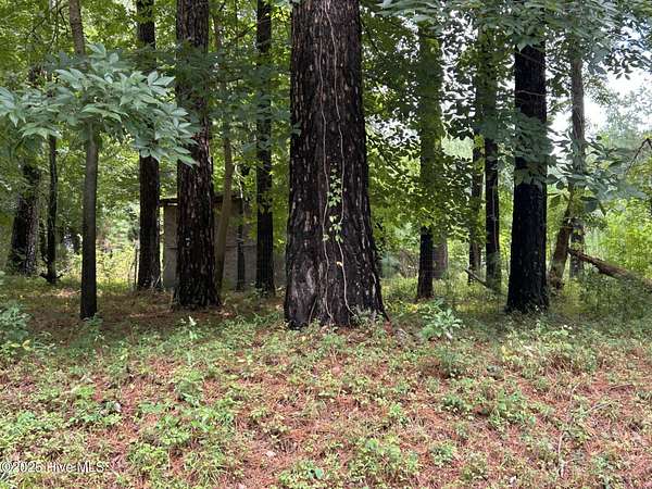 1 Acre of Land for Sale in Burgaw, North Carolina