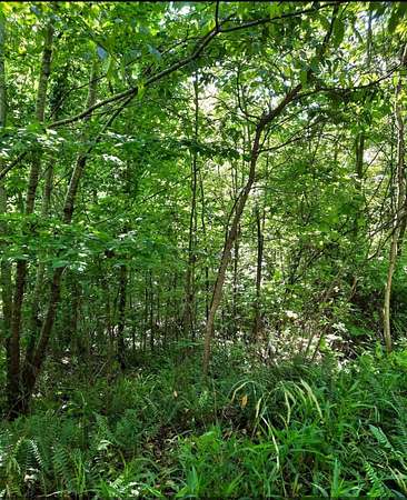 229 Acres of Recreational Land for Sale in Lucasville, Ohio