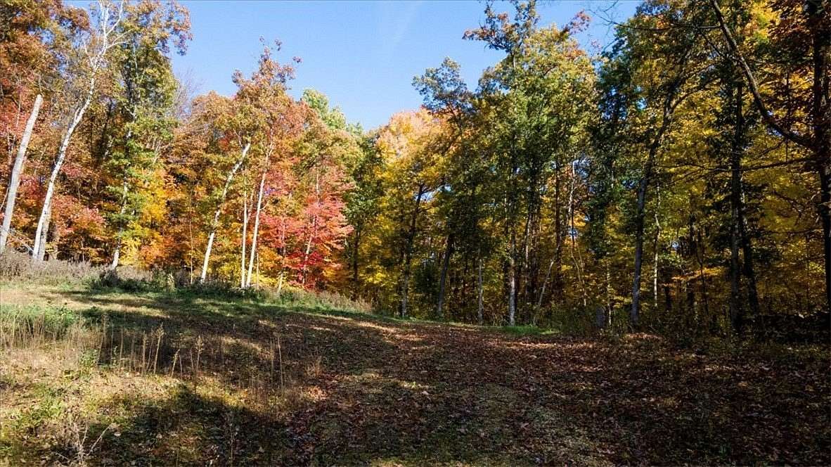 6 Acres of Residential Land for Sale in Boyceville, Wisconsin