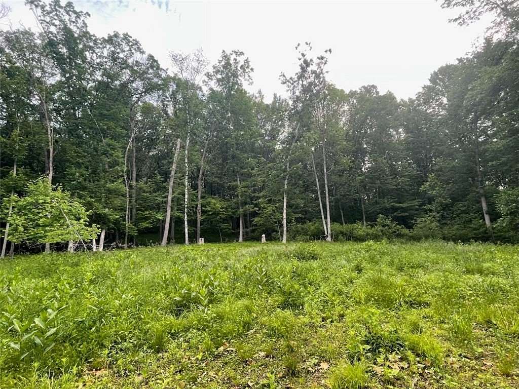 6 Acres of Residential Land for Sale in Boyceville, Wisconsin