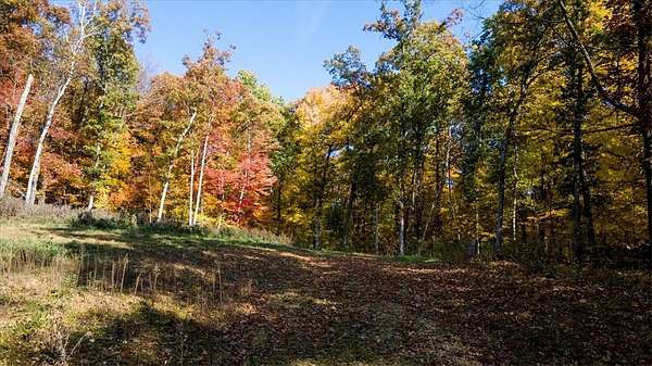 6 Acres of Residential Land for Sale in Boyceville, Wisconsin