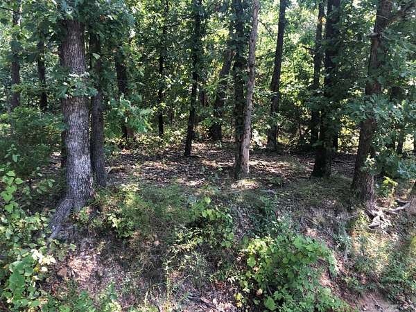 0.28 Acres of Residential Land for Sale in Bella Vista, Arkansas