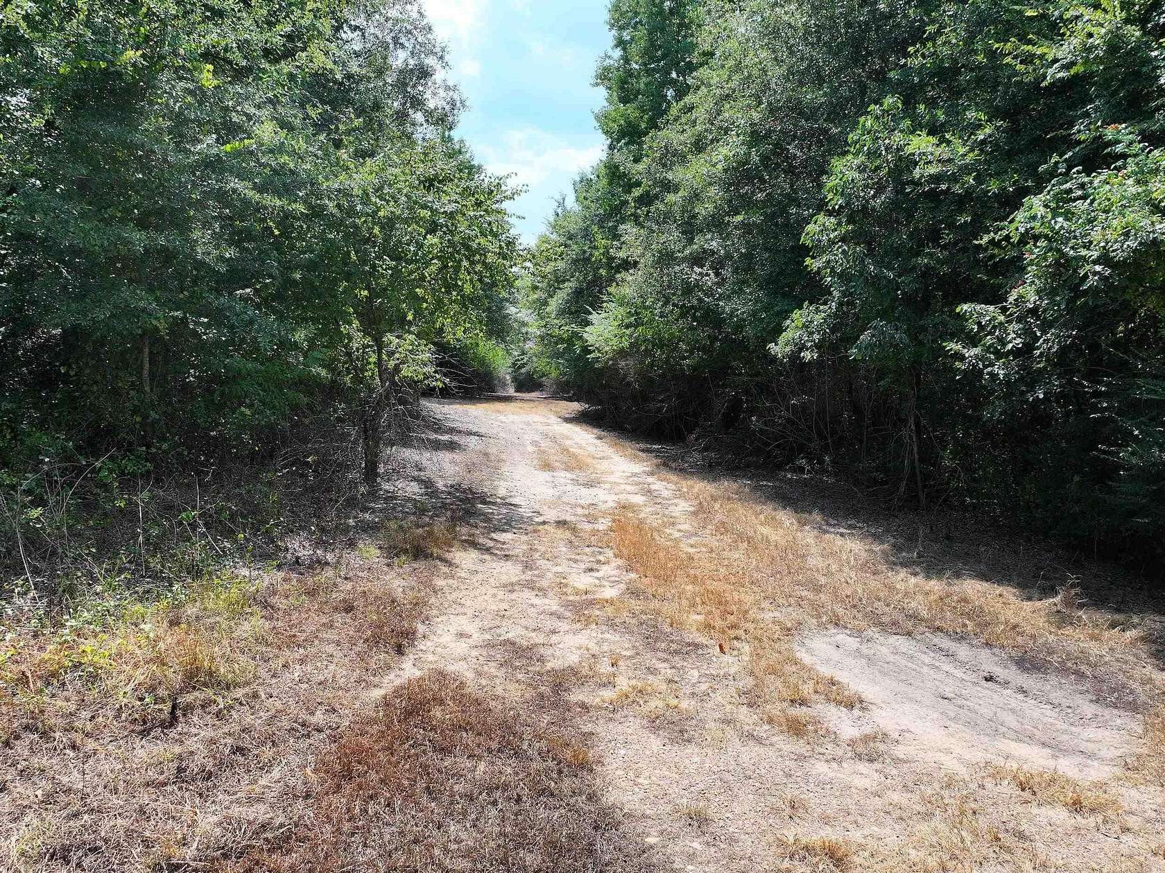34.2 Acres of Recreational Land for Sale in Newhope, Arkansas