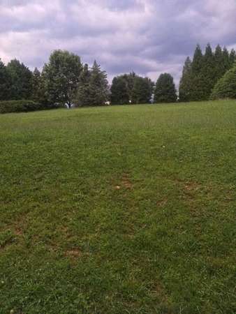 28.1 Acres of Land for Sale in Belton, South Carolina