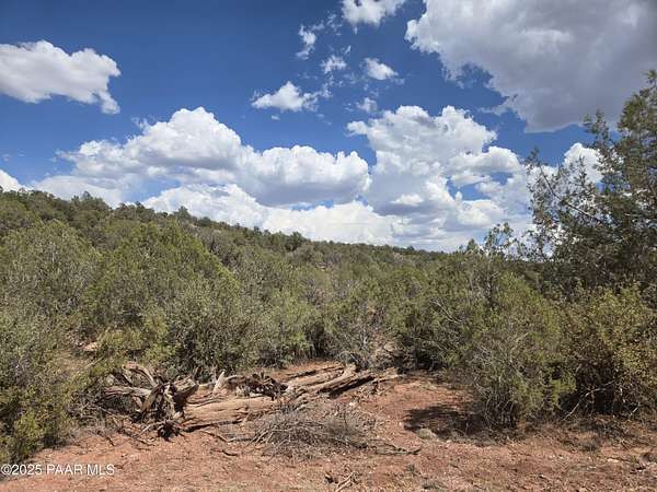 40 Acres of Recreational Land for Sale in Ash Fork, Arizona