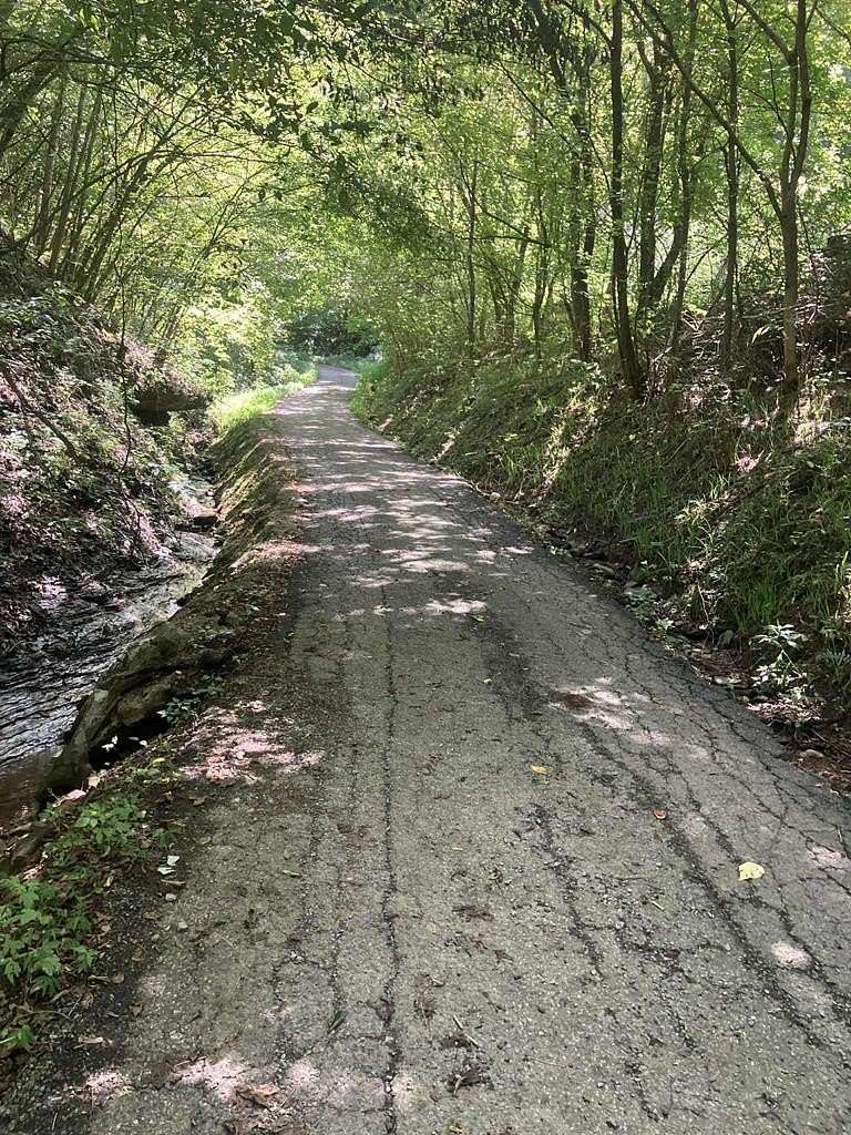 98 Acres of Recreational Land for Sale in Mouthcard, Kentucky