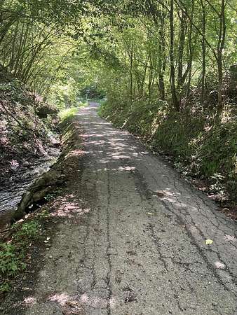 98 Acres of Recreational & Residential Land for Sale in Mouthcard, Kentucky