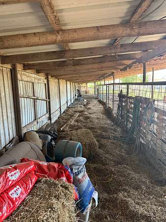 0.63 Acres of Land for Sale in Talpa, Texas