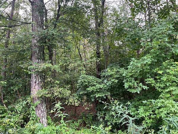 10 Acres of Land for Sale in White, Georgia