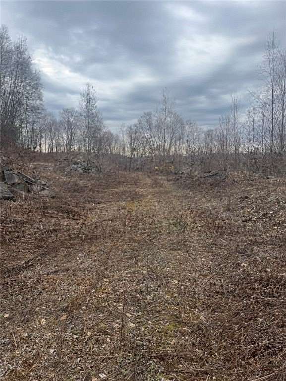 33.9 Acres of Land for Sale in Walton, New York