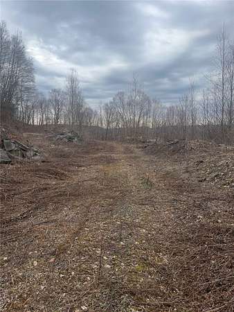 33.9 Acres of Land for Sale in Walton, New York