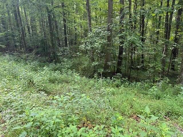 1.19 Acres of Residential Land for Sale in Cosby, Tennessee