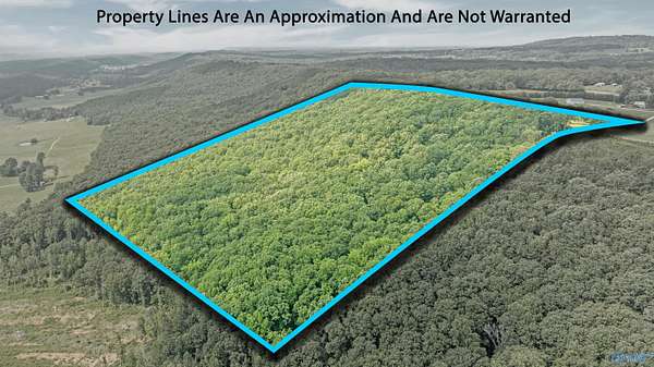43 Acres of Agricultural Land with Home for Sale in Henagar, Alabama