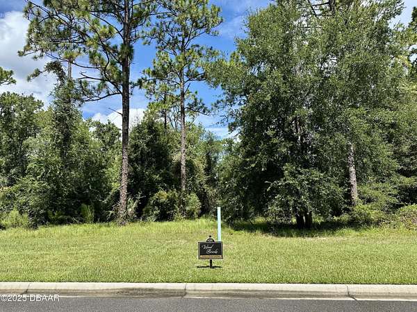 1 Acre of Residential Land for Sale in Port Orange, Florida