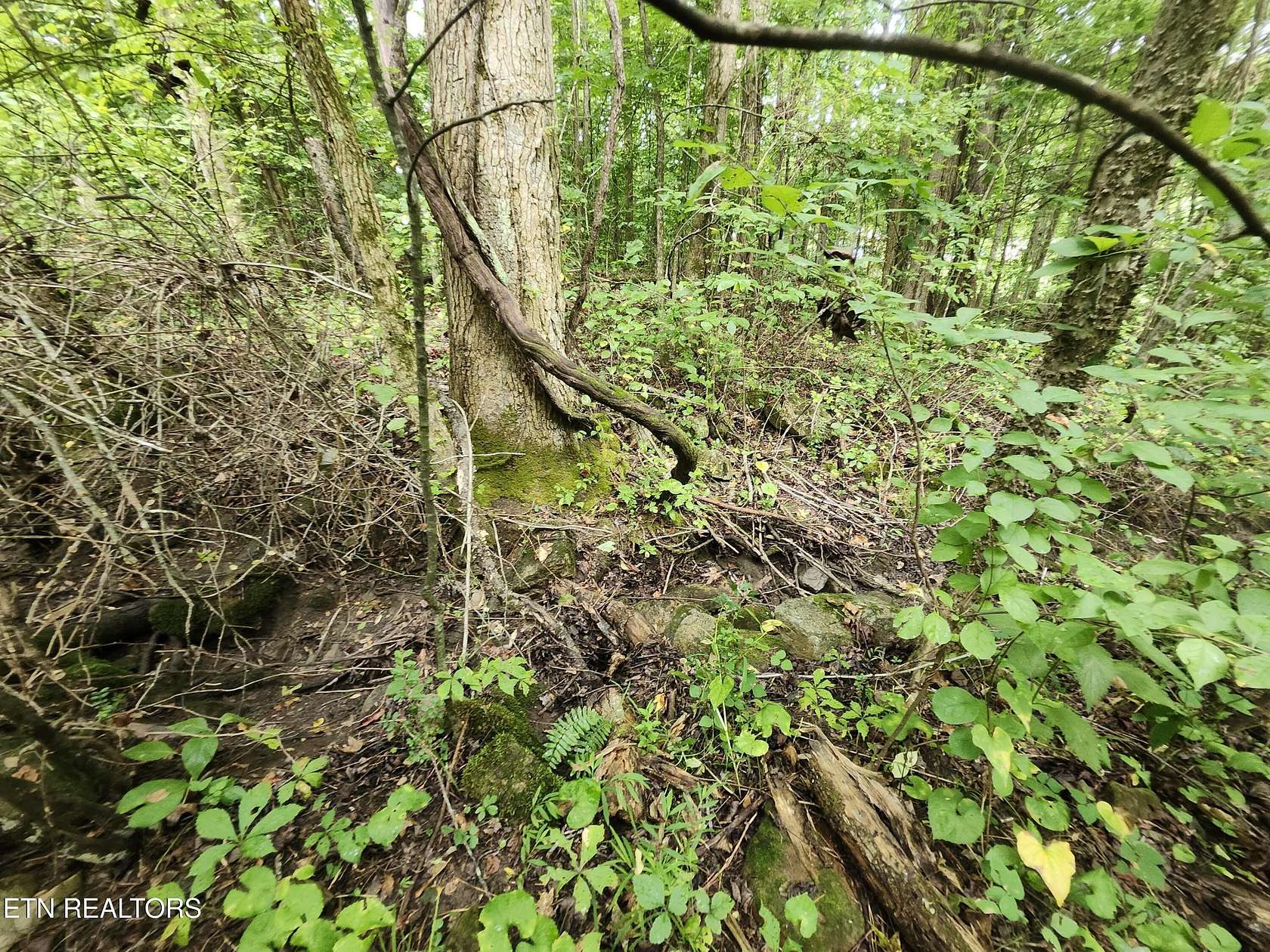 1.3 Acres of Residential Land for Sale in Cosby, Tennessee