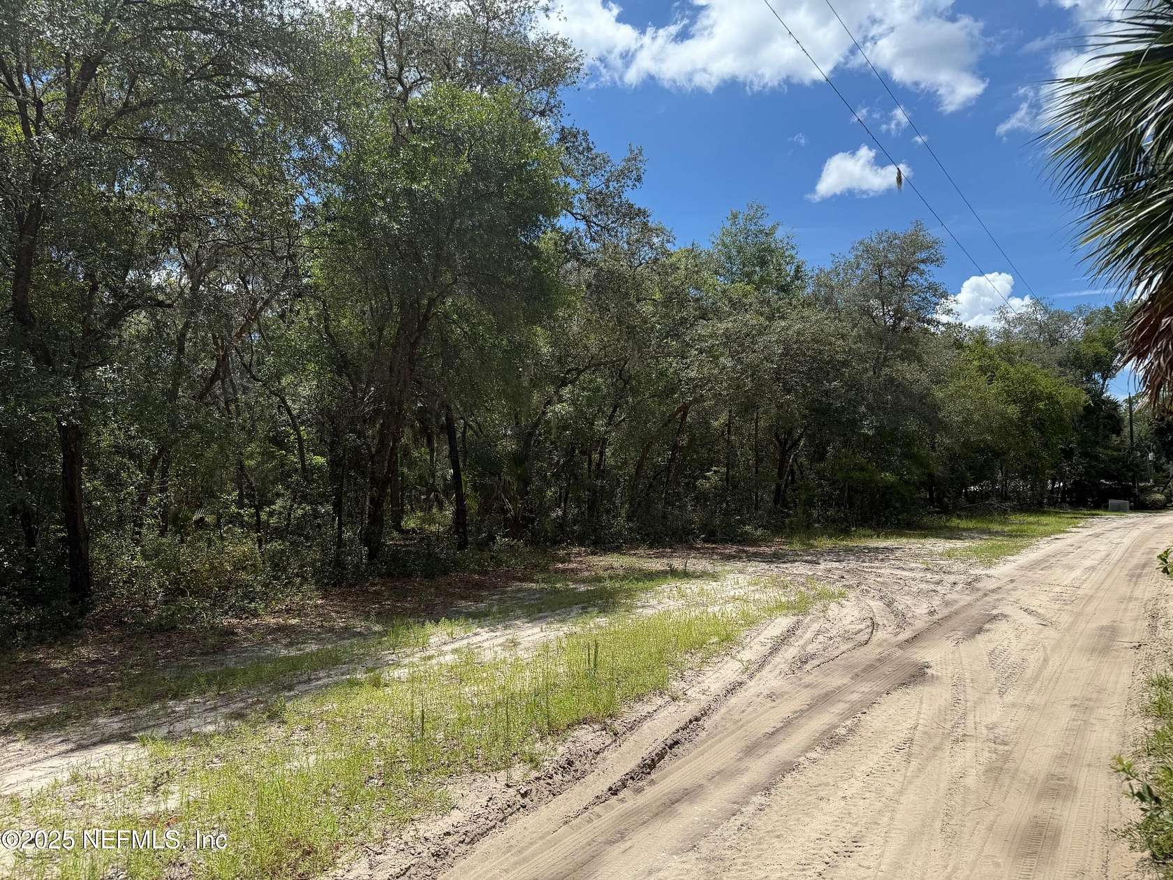 2.4 Acres of Residential Land for Sale in Hawthorne, Florida