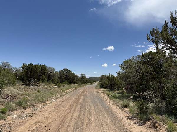 43.7 Acres of Recreational Land for Sale in Estancia, New Mexico