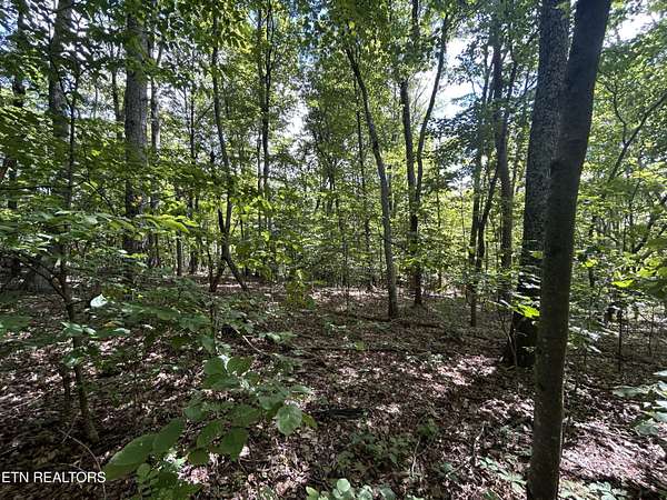 7.15 Acres of Land for Sale in Rutledge, Tennessee