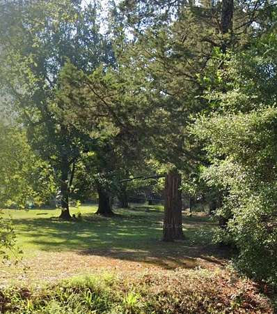 1 Acre of Land for Sale in Scottsville, Texas