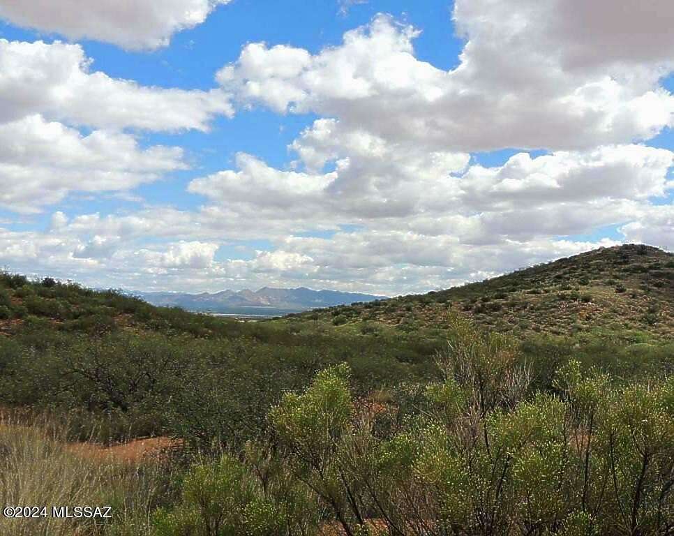 38.6 Acres of Land for Sale in Elfrida, Arizona