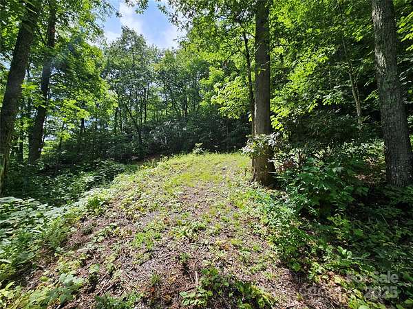 1.68 Acres of Land for Sale in Maggie Valley, North Carolina