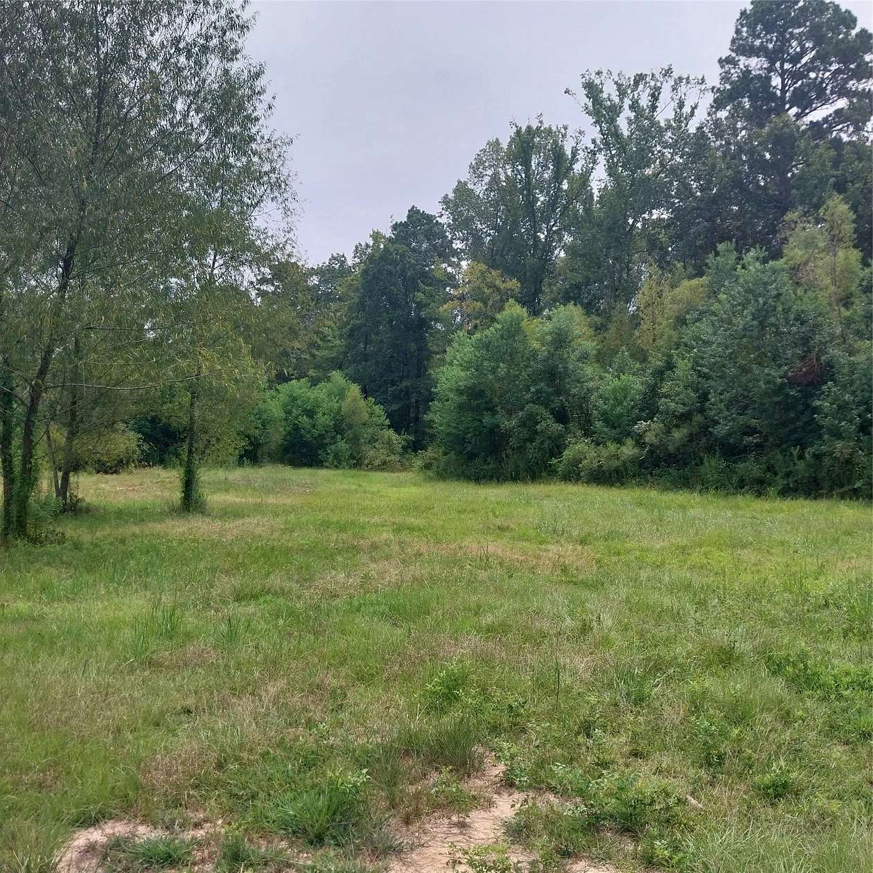 52 Acres of Improved Land for Sale in Haughton, Louisiana