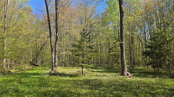 120 Acres of Recreational Land for Sale in Conrath, Wisconsin