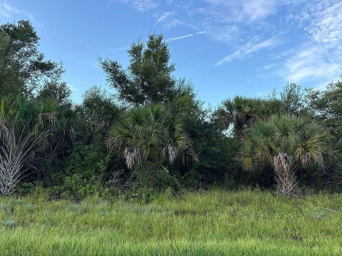 0.25 Acres of Residential Land for Sale in Port Charlotte, Florida