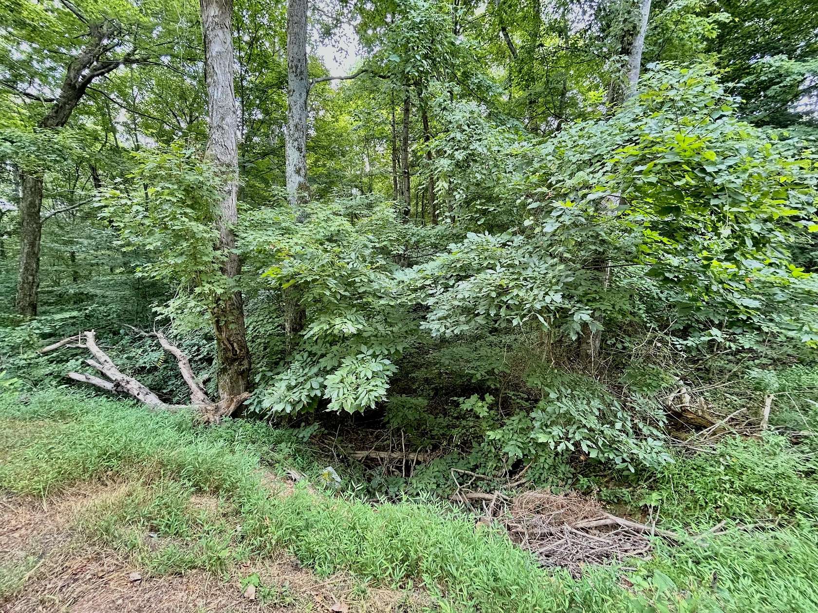 2.5 Acres of Residential Land for Sale in Monticello, Kentucky