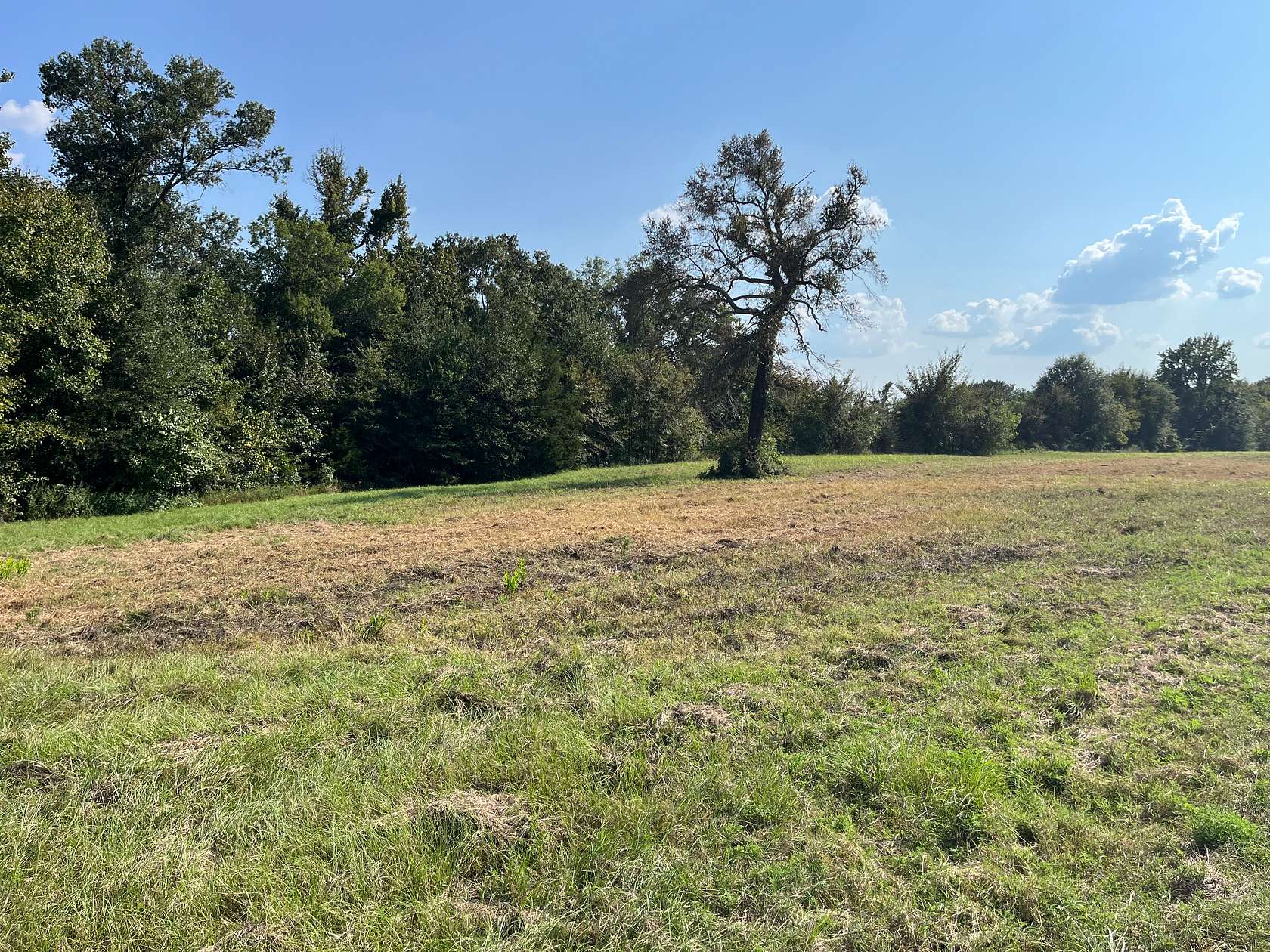 24 Acres of Land for Sale in Canton, Texas