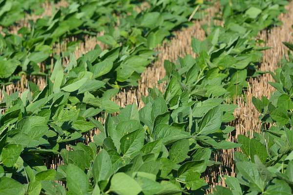 80 Acres of Land for Sale in Overbrook, Kansas