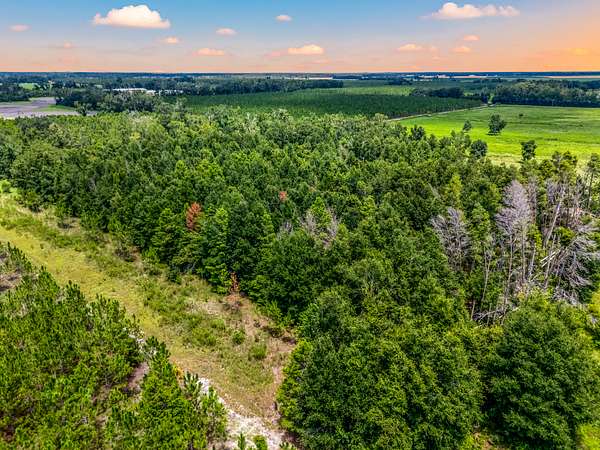 3 Acres of Land for Sale in O'Brien, Florida