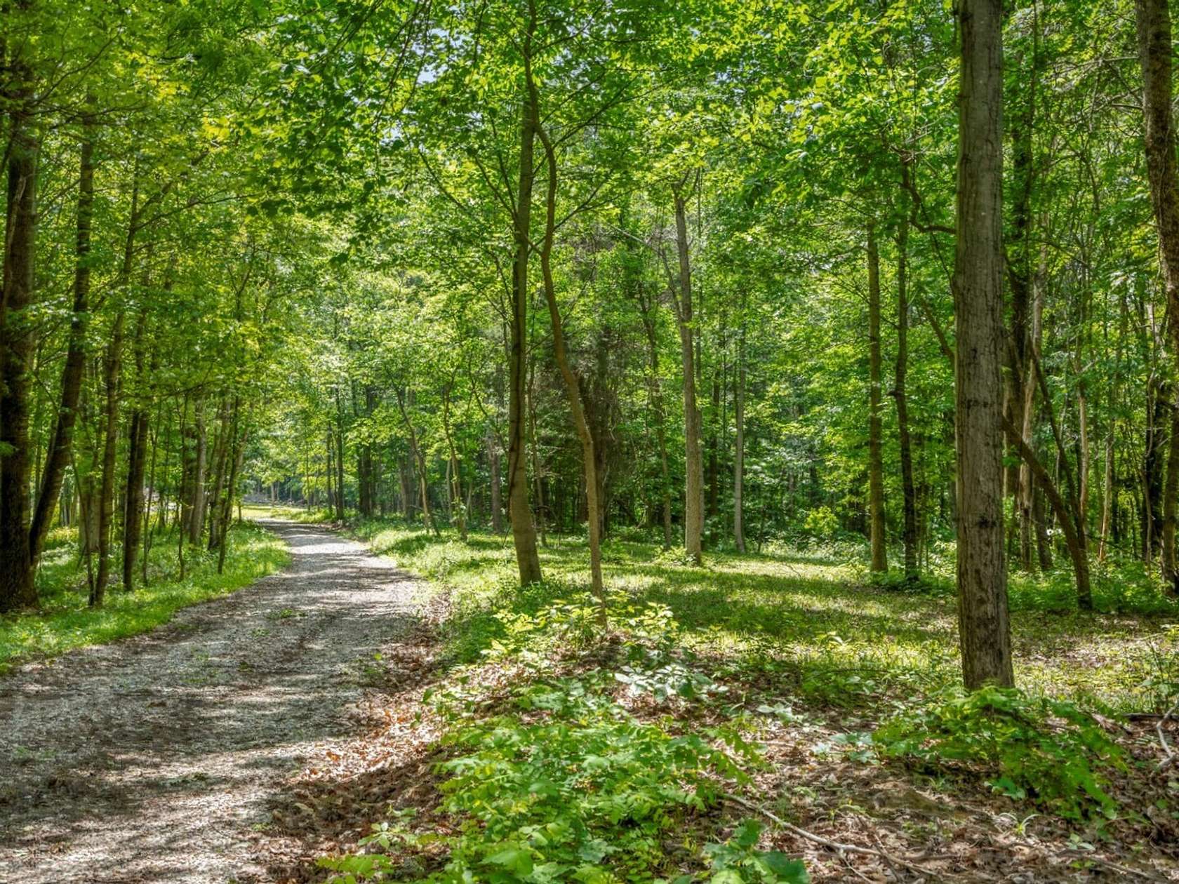 13.8 Acres of Recreational Land for Sale in Bainbridge, Ohio