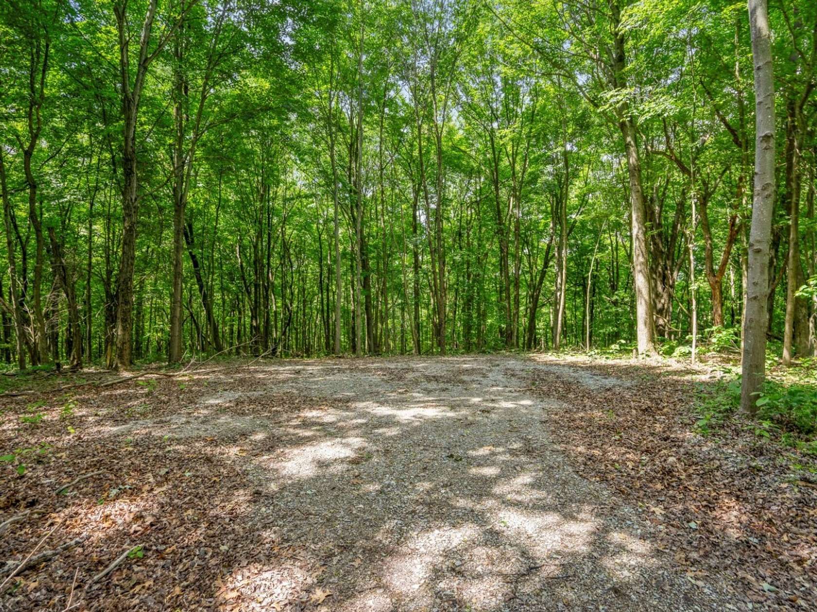 45.7 Acres of Recreational Land for Sale in Bainbridge, Ohio