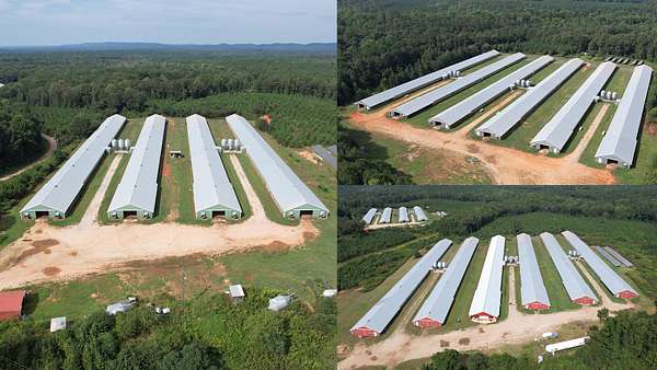 160 Acres of Agricultural Land for Sale in Barnesville, Georgia