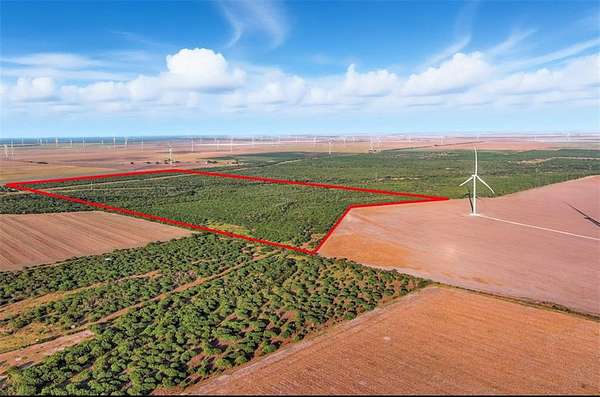 260 Acres of Recreational Land & Farm for Sale in Mathis, Texas