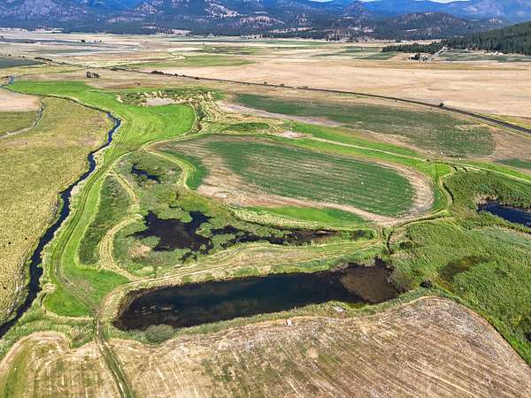 95 Acres of Land for Sale in Chewelah, Washington