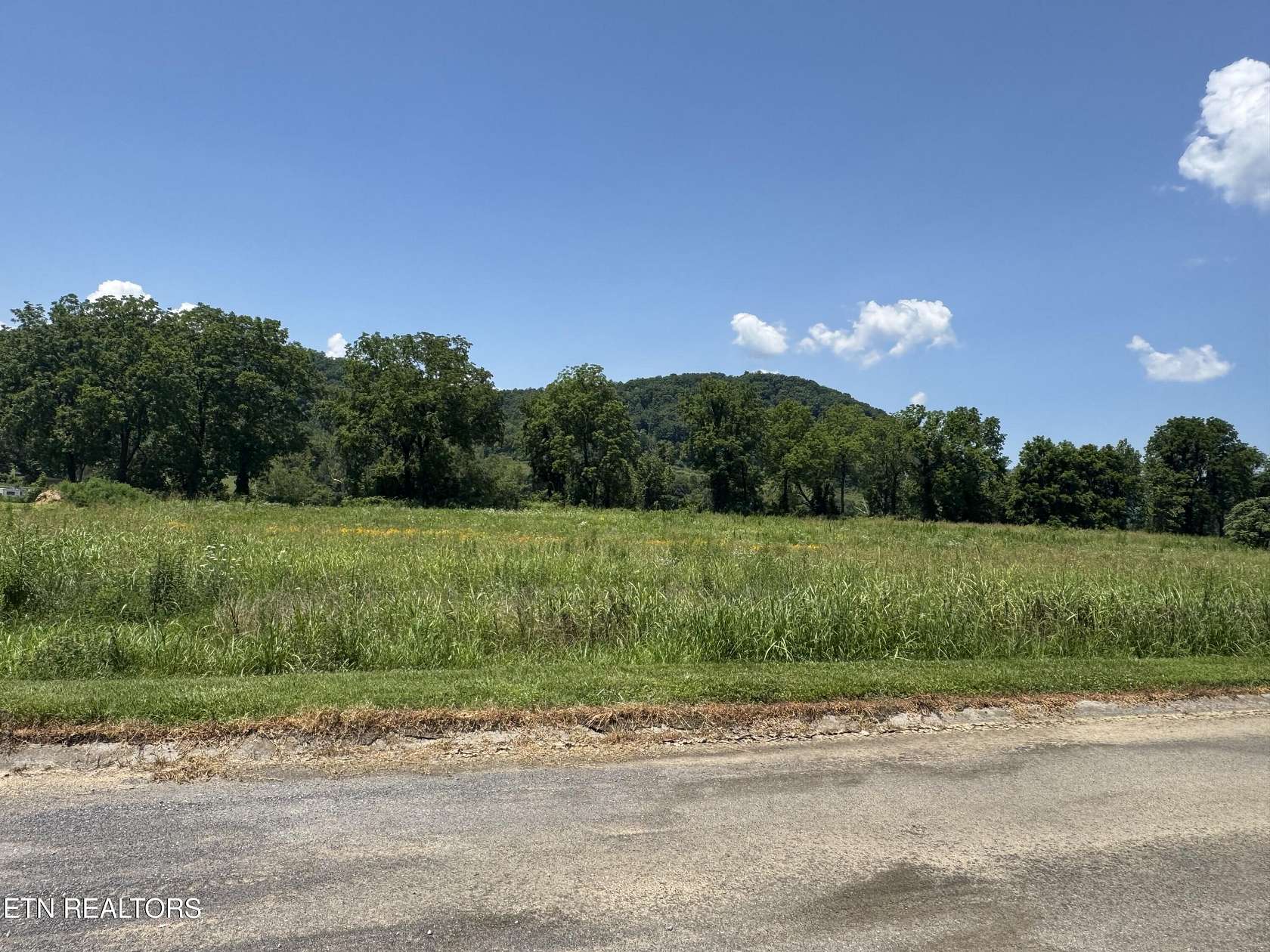 1.22 Acres of Land for Auction in Del Rio, Tennessee
