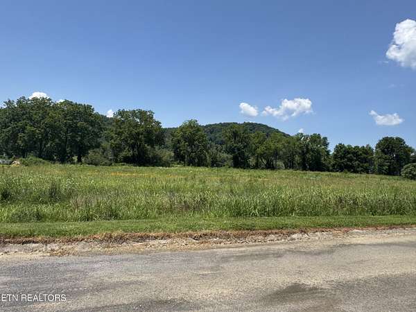 1.22 Acres of Land for Auction in Del Rio, Tennessee