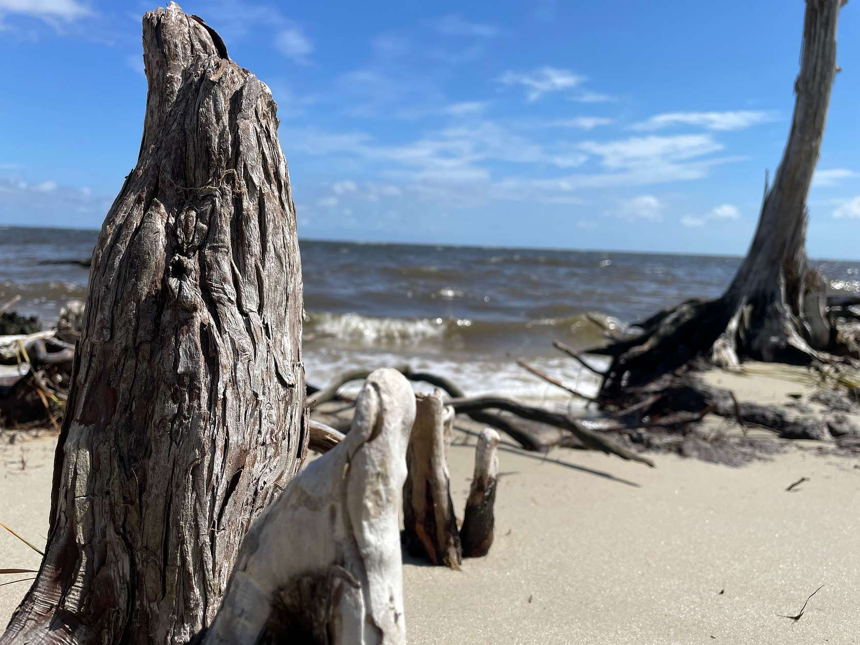 6.2 Acres of Land for Sale in Beaufort Township, North Carolina