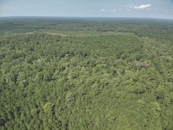 56 Acres of Recreational Land & Farm for Sale in Camden, Arkansas