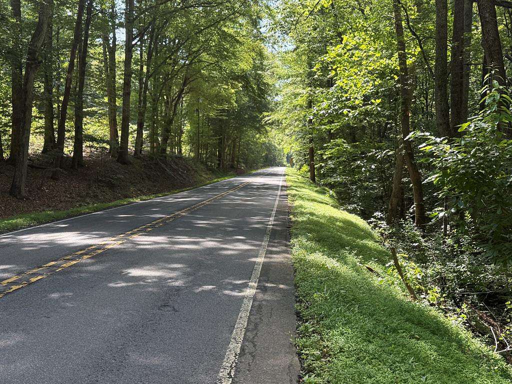 20.2 Acres of Land for Sale in Schuyler, Virginia