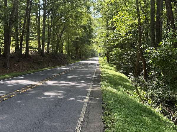 20.2 Acres of Land for Sale in Schuyler, Virginia