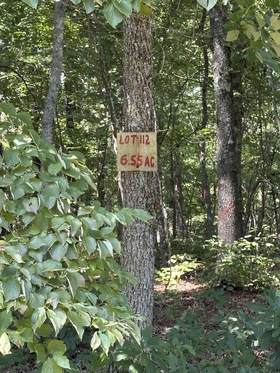 6.5 Acres of Land for Sale in Raymondville, Missouri