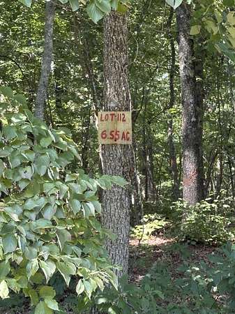 6.5 Acres of Land for Sale in Raymondville, Missouri