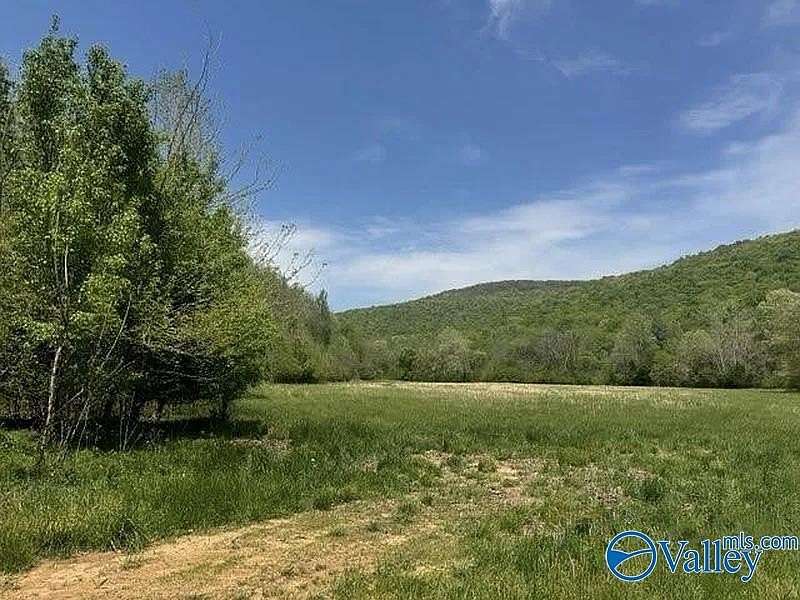 210 Acres of Land for Sale in Hollytree, Alabama