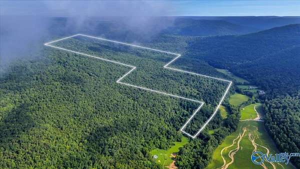 210 Acres of Land for Sale in Hollytree, Alabama